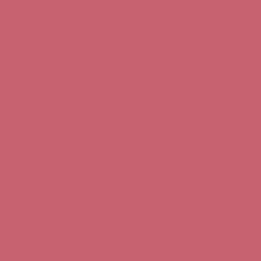 Image of PARTY IN THE USA VELVET LIPSTICK
