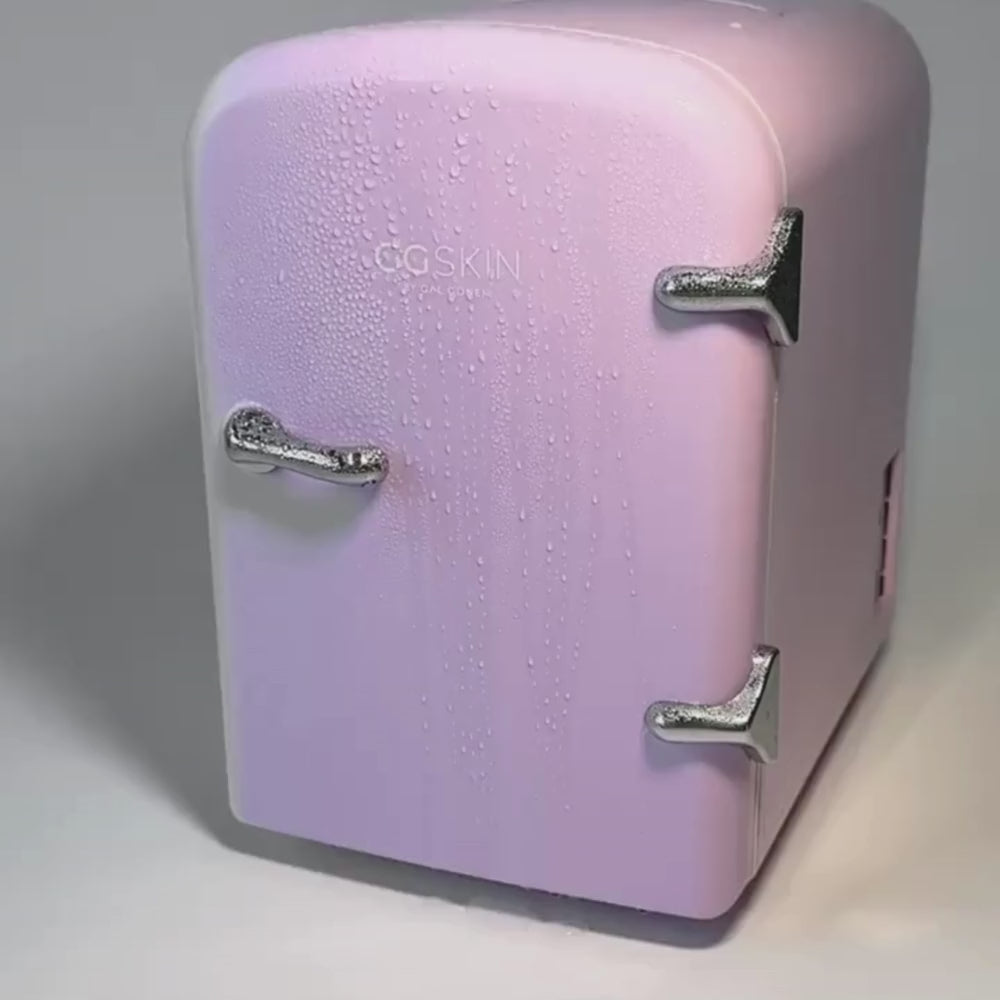 Image of MINI FRIDGE RETRO
